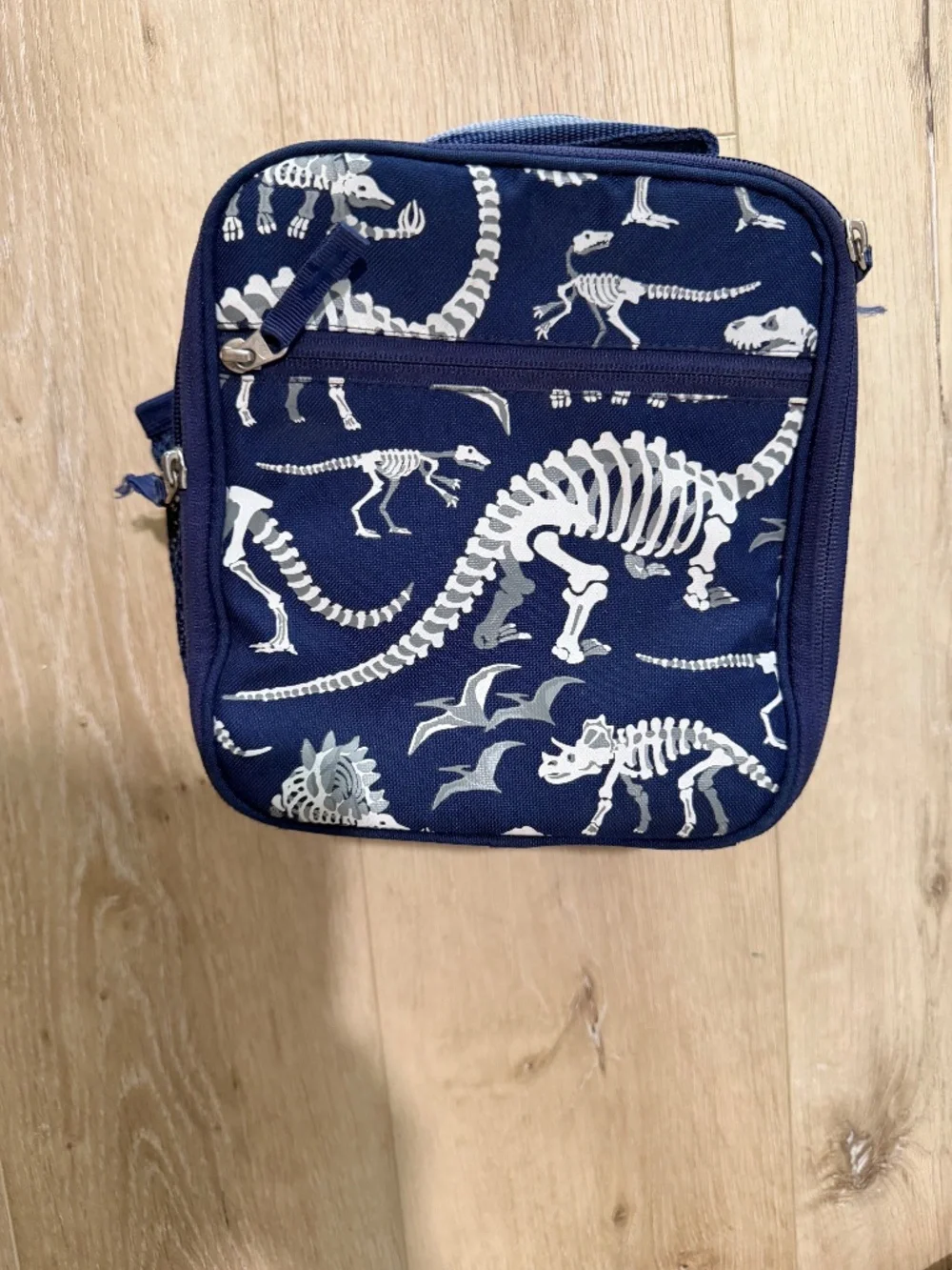 Pottery Barn Kids dinosaur lunch box